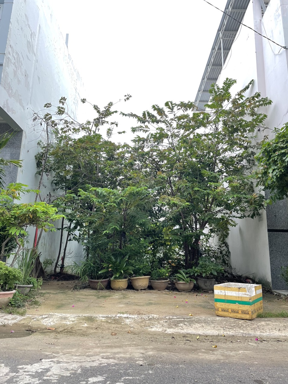 Siêu phẩm đất nền ngang 6m khu Đông Mương, Hòn Xện, Vĩnh Hoà, Nha Trang giảm giá mạnh chỉ còn 47tr/m2.