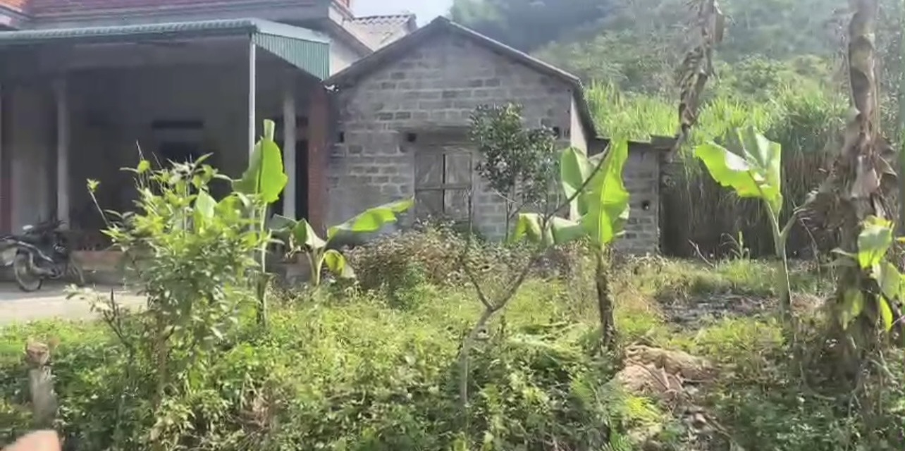 Nhỏ xinh đủ để nghỉ dưỡng gia đình, gần đường tỉnh lộ, view cánh đồng, giá nhỉnh 500tr