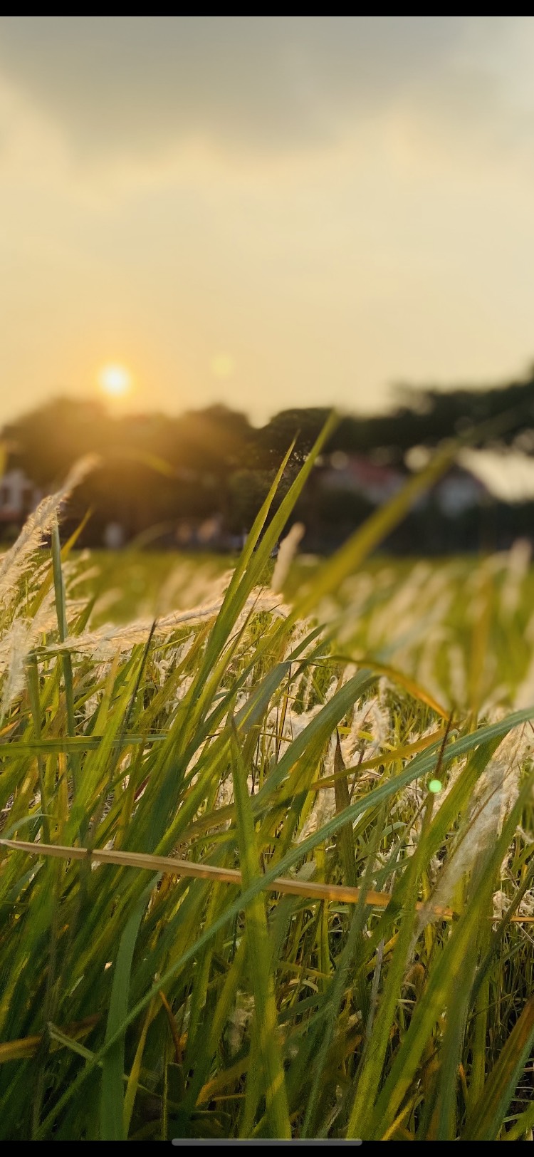 BÁN NHÀ LIỀN KỀ Ô TÔ TRÁNH VỈA HÈ AN SINH NHẤT AN HƯNG HÀ ĐÔNG