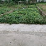  92m2 - 1