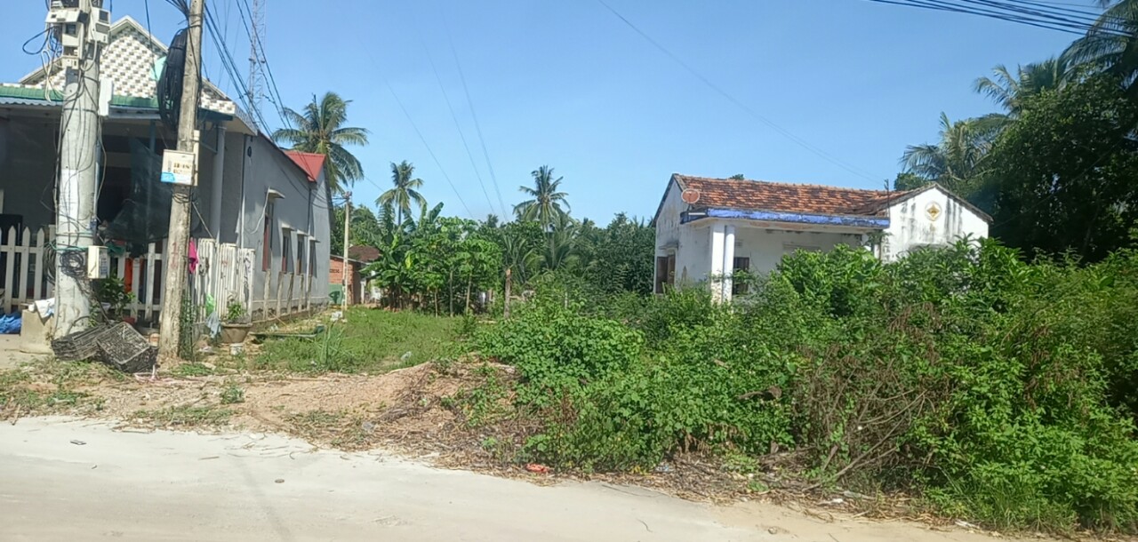 100m2
