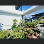  95m2 - 1