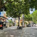  80m2 - 3