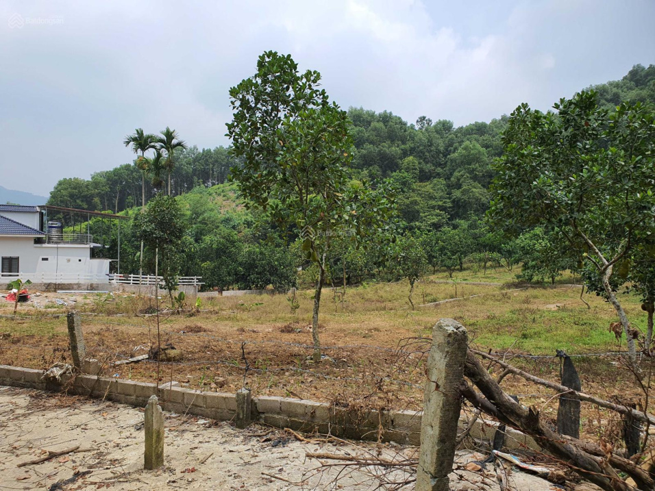 Bán 1113m đất Tiến Xuân, mặt tiền bám đường 30m oto đỗ cửa. Gần đường 446 làm nhà vườn homestay