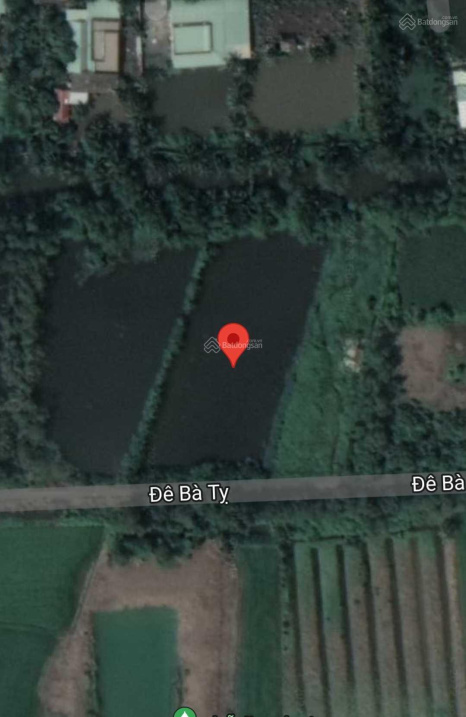 Bán 3.000m2 đất CLN mặt tiền đường Bà Tỵ, khu dân cư hiện hữu xã Tân Nhựt - Bình Chánh