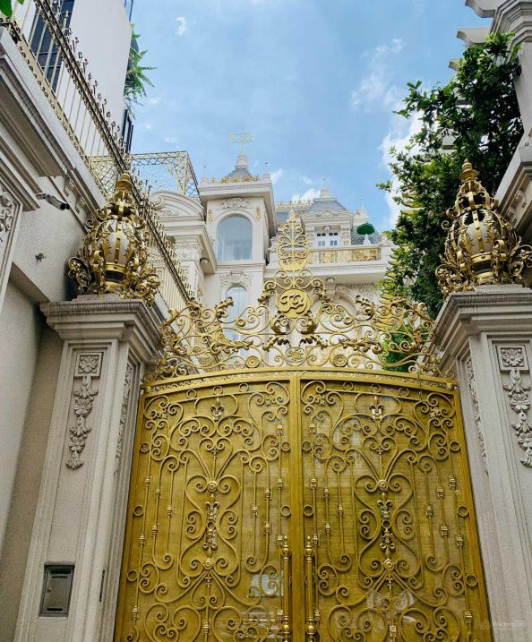 Bán biệt thự Đường Nguyễn Đình Chiểu, Phường Đa Kao, Quận 1