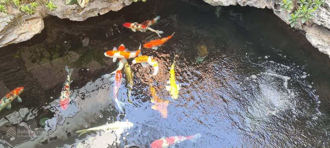 Bán biệt thự Thành Phố Giao Lưu ngay An Bình - Bộ Công An - 190m2 4T MT 12m - nhà đẹp - giá 46 tỷ