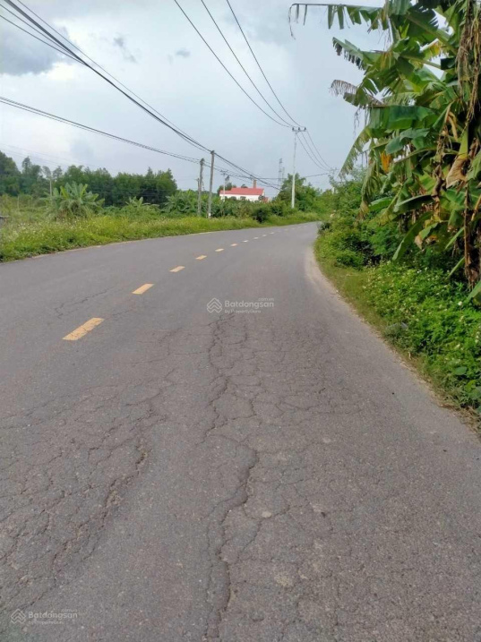 Bán đất Diên Lâm, Diên Khánh mặt Tỉnh lộ 8, giá chỉ 800k/m2, QH thổ cư. LH 0977 681 668