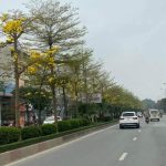  50m2 - 1