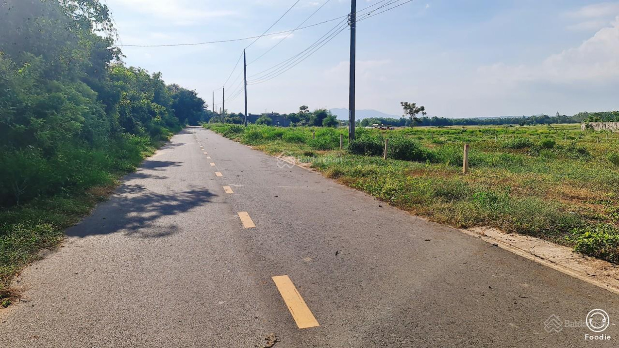 Bán đất mặt tiền đường nhựa Phạm Duy Trinh, Đất Đỏ, Bà Rịa Vũng Tàu, DT 263m2