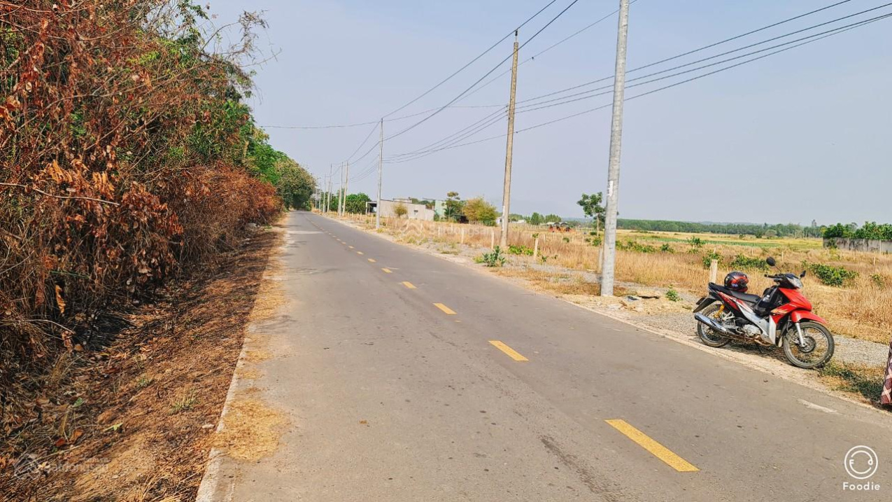 Bán đất thị trấn Đất Đỏ, Bà Rịa Vũng Tàu, diện tích 235m2