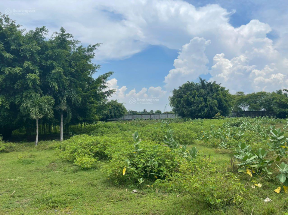 Bán lô đất gần 2ha mặt tiền đường số 5 MT sông Đồng Nai mặt sông gần 150m, giá 170 tỷ