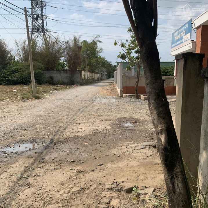 Bán lô đất trồng nông nghiệp đường Gò Cát, P. Phú Hữu, Q9, diện tích 50x110m, đường 7m; 6,7tr/m2