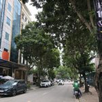  100m2 - 3