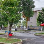  100m2 - 1