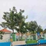  100m2 - 1