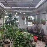  100m2 - 3