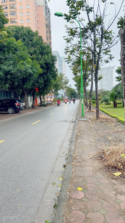 Biệt thự mặt phố Bắc Linh Đàm, đất, DT 220m2, MT 10m, vỉa hè cực rộng, kinh doanh, giá 35 tỷ