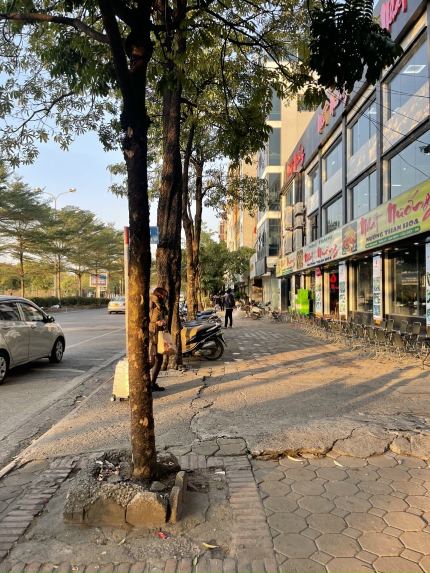 Bán Nhà Ngã Tư Trần Vĩ_Hồ Tùng Mậu_Mặt Phố Thông Số Vàng_Vỉa Hè Thênh Thang Cây Xanh Mát_22Tỷ.