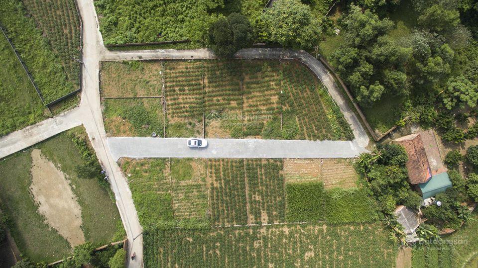 CC bán 124m2, MT 8m, Bình Yên, 300m vào CNC, cách ĐH FPT 1.5km, cạnh nhà trọ 7 tầng, giá nhỉnh 2 tỷ