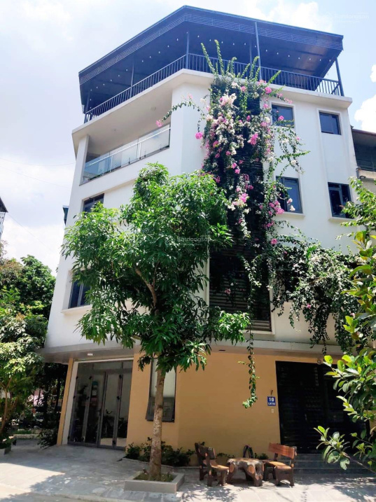 CC bán nhà đất lô góc tại khu LK đấu giá Mậu Lương, Kiến Hưng, HĐ DTSD 288m2 đường 11.5m,0976 575 982