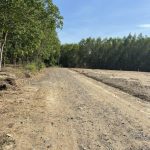  1000m2 - 1