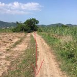  80000m2 - 1