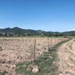  80000m2 - 5