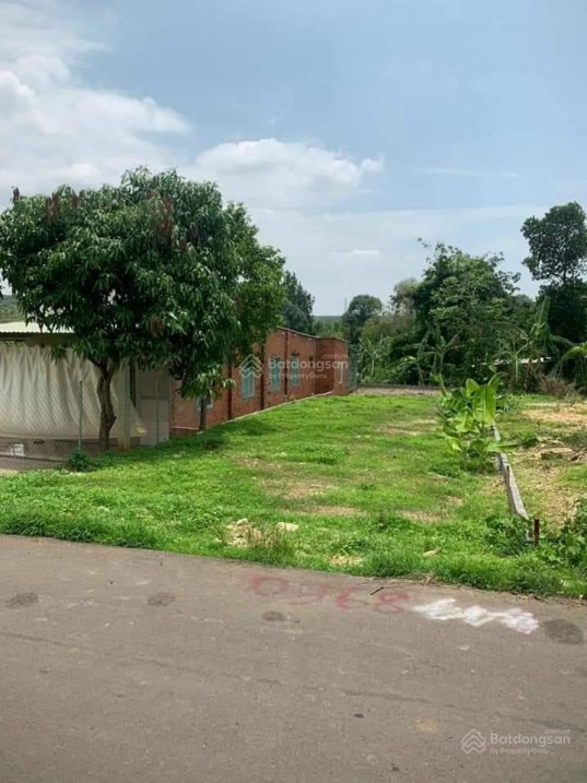 Cần bán gấp lô đất đẹp Đá Bạc, Châu Đức Bà Rịa Vũng Tàu