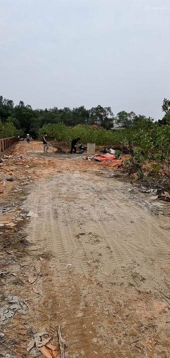 Cần tiền bán 7200m2 đất nghỉ dưỡng + nhà xưởng đều ok tính tiền bằng sào cho dễ làm viêc ạ. Lh em