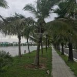  90m2 - 5