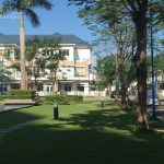  362m2 - 3