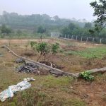  5000m2 - 5