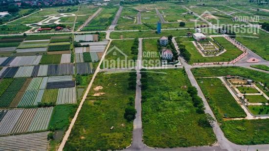 Chính chủ bán lô đất nền liền kề biệt thự dự án Hoàng Vân, Mê Linh, Hà Nội