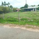  1000m2 - 1