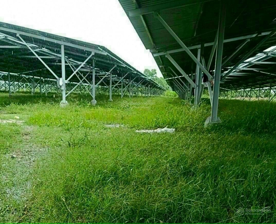 Chính chủ cần sang nhượng đất và dự án điện năng lượng mặt trời tại Cam Lâm, Khánh Hòa