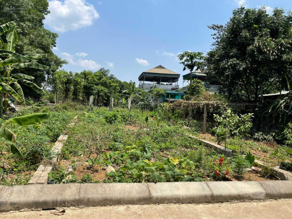 Chính chủ cần tiền bán nhanh lô đất gần khu CNC Hòa Lạc, giá chỉ hơn 900 triệu