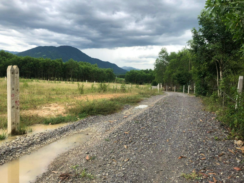 Chuyển nhượng gấp lô đất vườn Diên Xuân đường ô tô giá chỉ 800 triệu, diện tích 1016 Mét