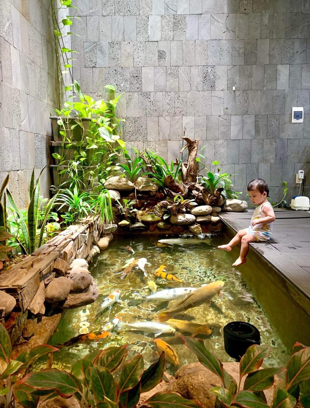 Biệt thự mini ngang 6m. Khu dân cư trí thức.