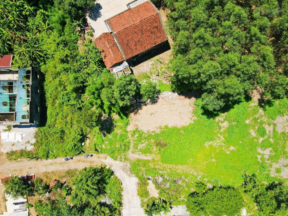 Đất dân - Diên Đồng - 468 triệu