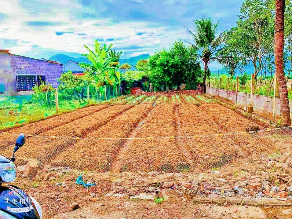 Đất dân Diên Sơn - view cánh đồng * cách TTTP Nha Trang 14km