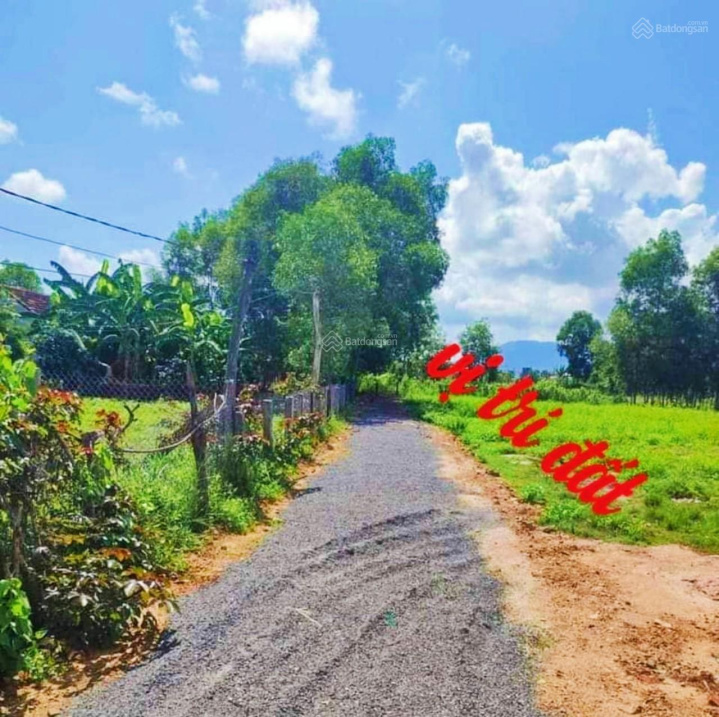 Đất dân Ninh Thân (cắt bán) - 550 triệu