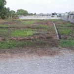  1000m2 - 1