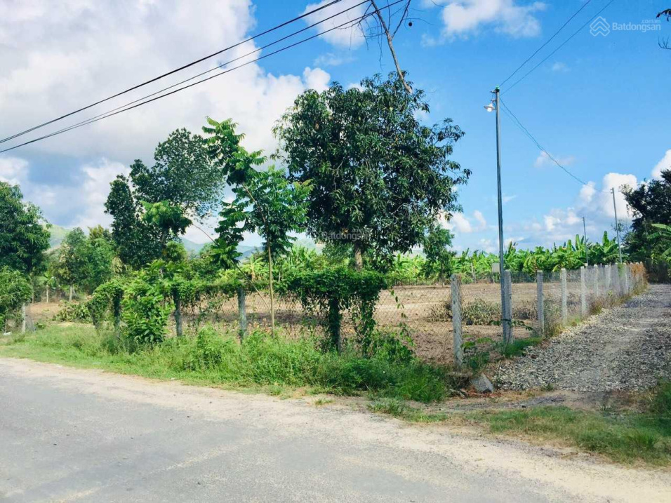 Đất vườn Bình Lộc cây lâu năm quy hoạch full thổ cư vị trí đẹp thích hợp làm nhà vườn