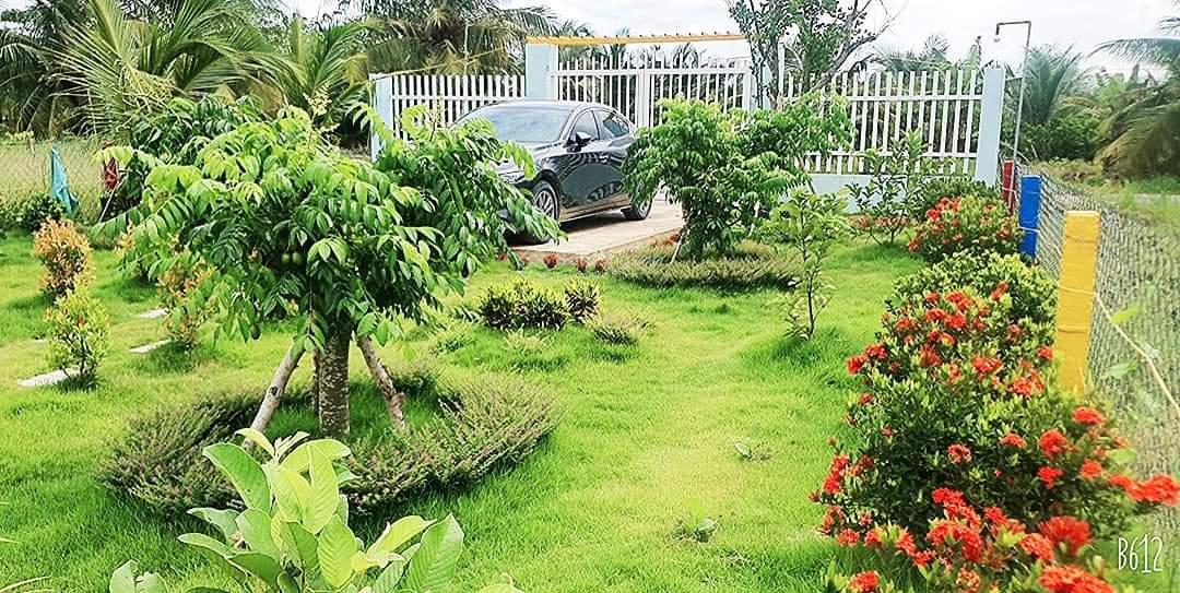 Do trái phiếu nên tôi cần tiền bán gấp nhà vườn Trung Lập Hạ, Củ chi gần 1000m2. Giá ngộp 1 tỷ 7