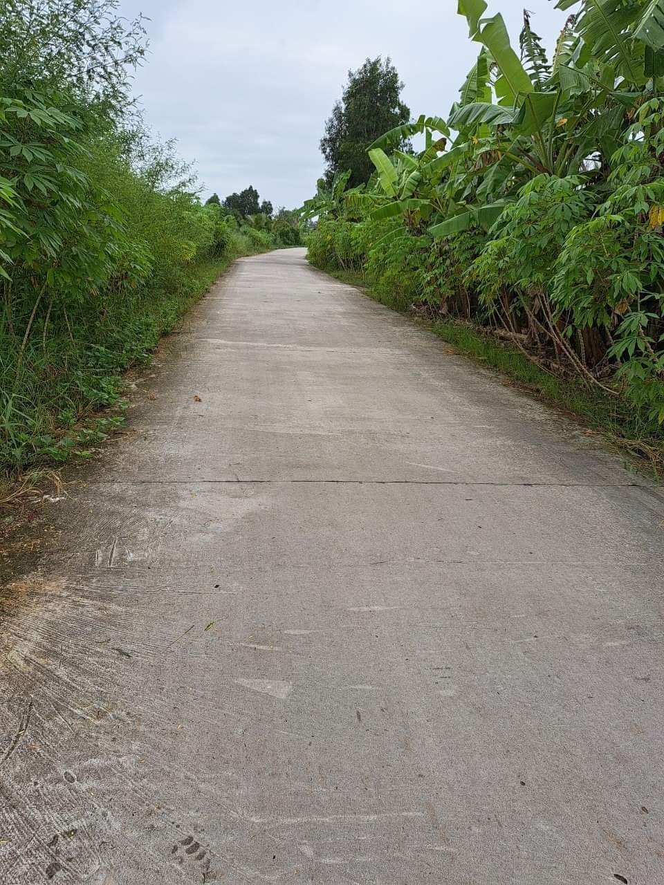 180m2