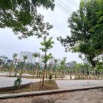  50m2 - 3