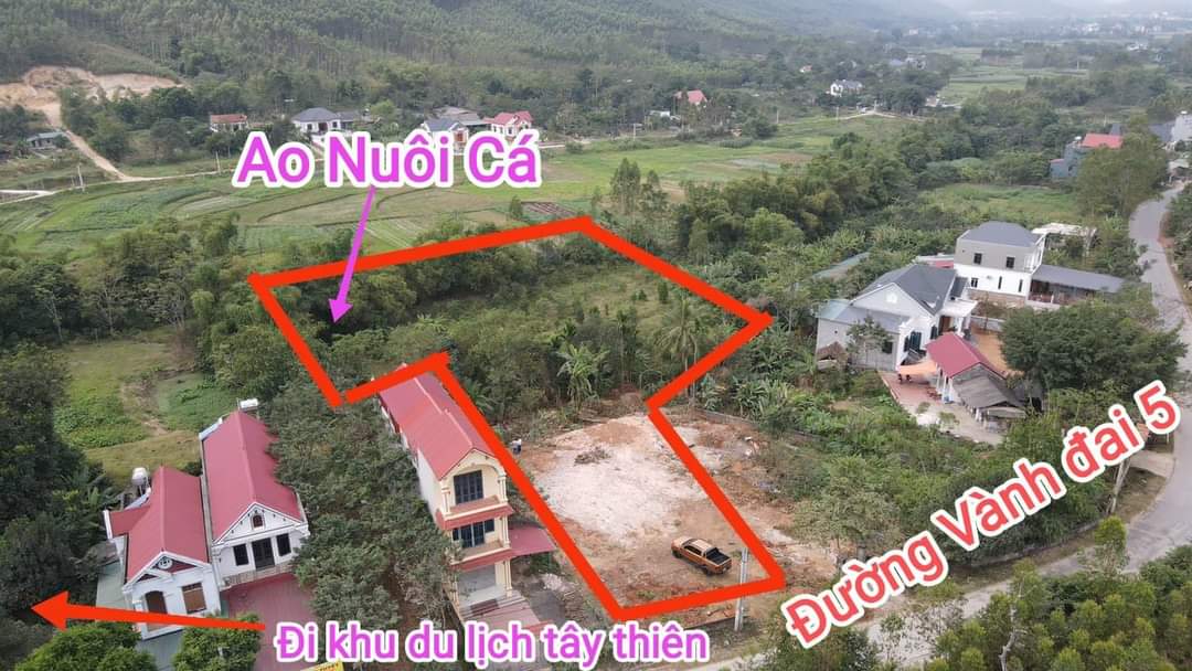 Giá bán nhanh giảm giá sâu, diện tích 5000m ,năm chục chính 302tây thiên vành đai 5,giả chỉ còn hơn 3tỷ,