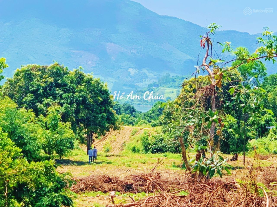 Farm suối 1,9ha - đường ô tô tận nơi cần chủ mới