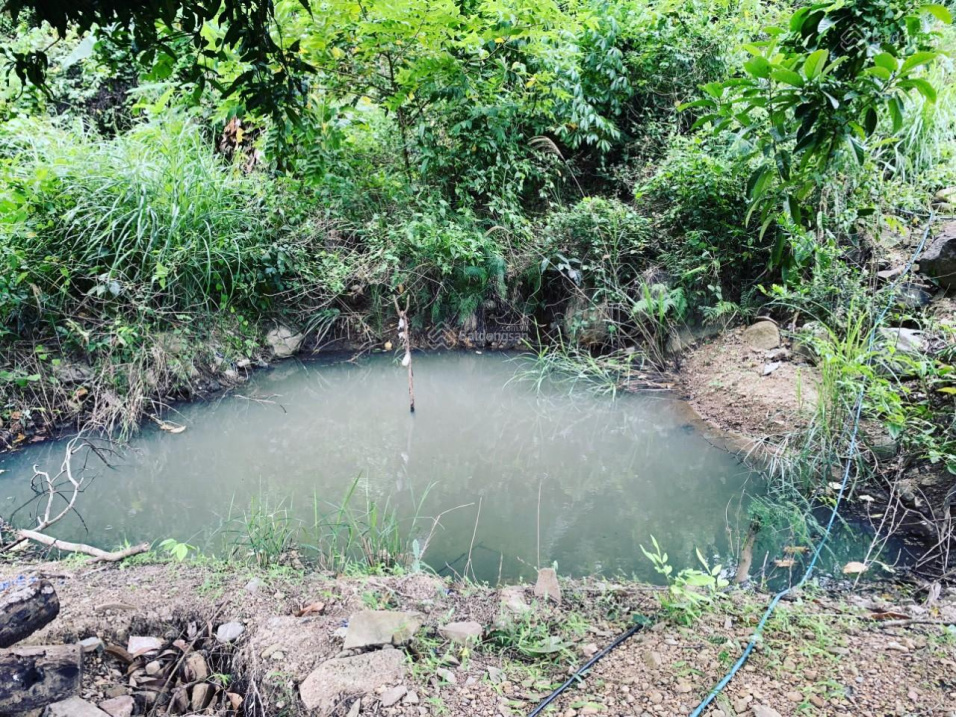 Gần 4200m2 vườn Diên Điền - 680 triệu cách TTTP Nha Trang 13km